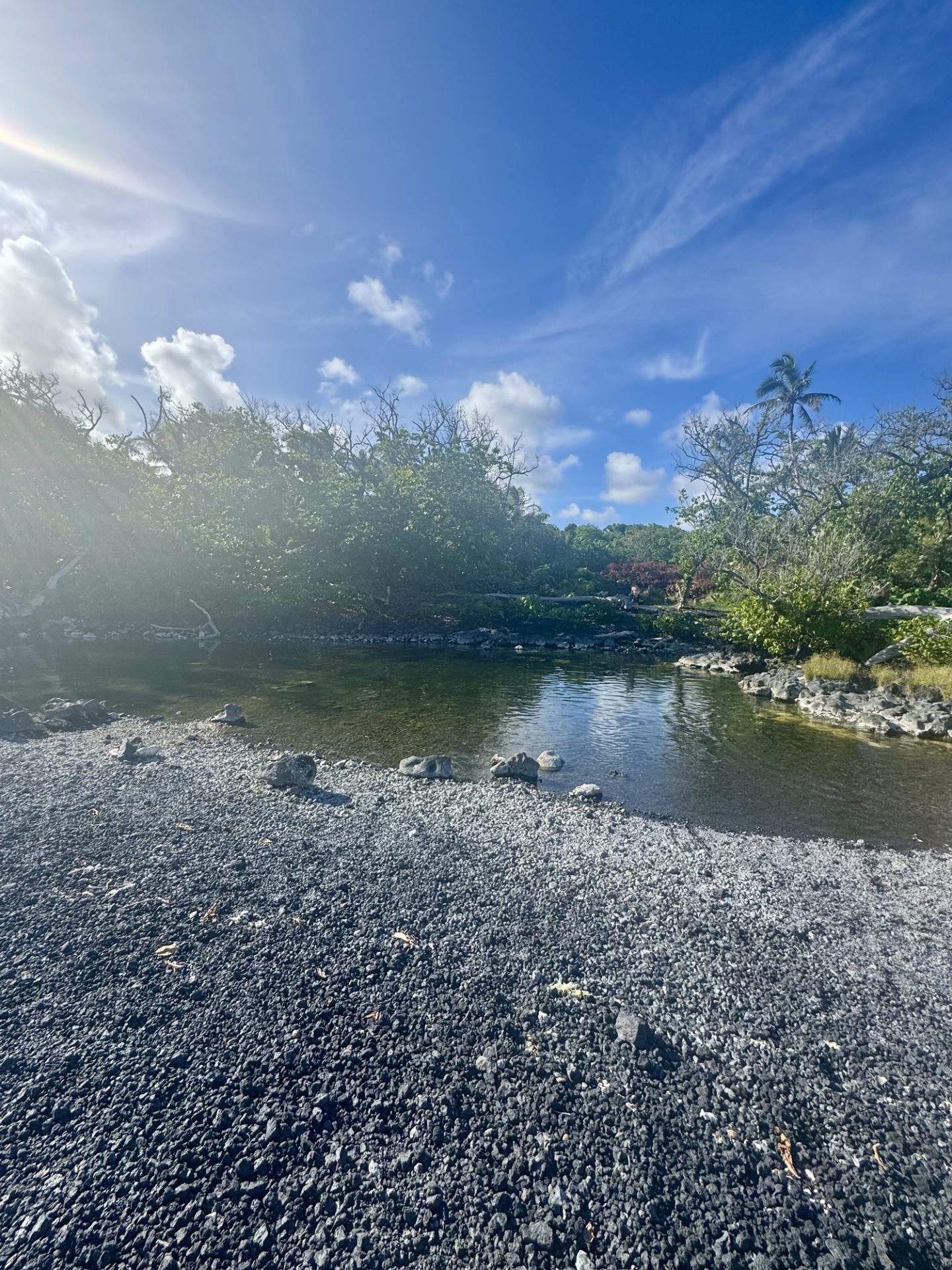 Big Island hot springs at Isaac Hale Beach Park.