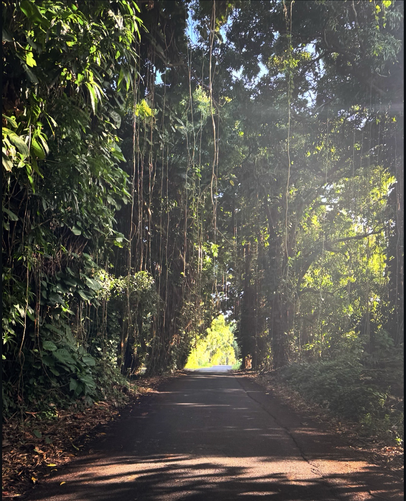The road to the Big Island Hot Springs.